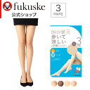 デイリー満足 : 歩いて涼しい+伝線しにくい 無地 パンティストッキング 3足組/デイリー満足(daily manzoku)