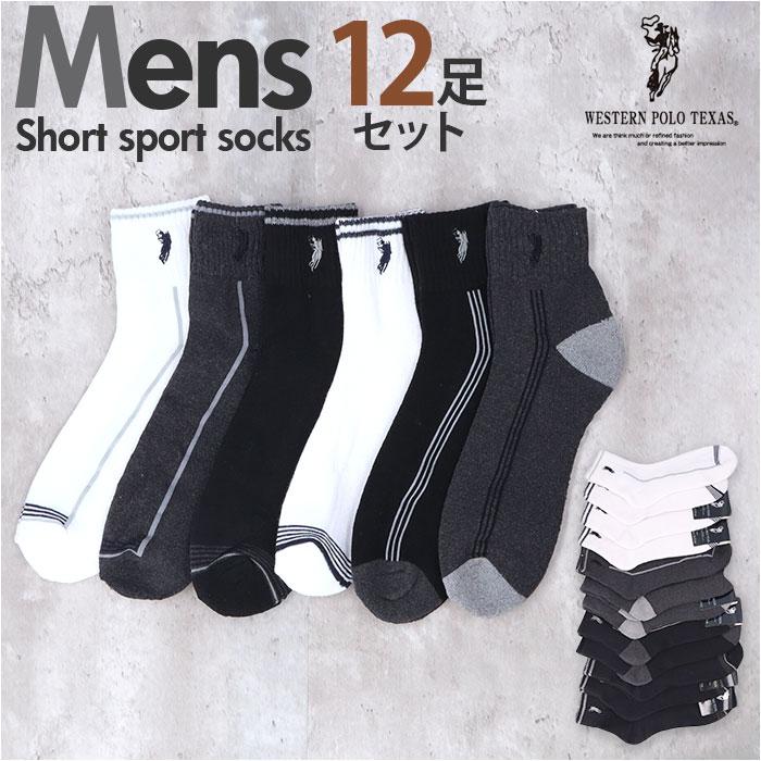 �»� ���硼�ȥ��ݡ��ĥ��å���/�����Хå��䡼�ɥե��ߥ꡼��BACKYARD FAMILY��