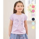 【WEB限定】7days プリント 半袖 Tシャツ/エニィファム(any FAM)