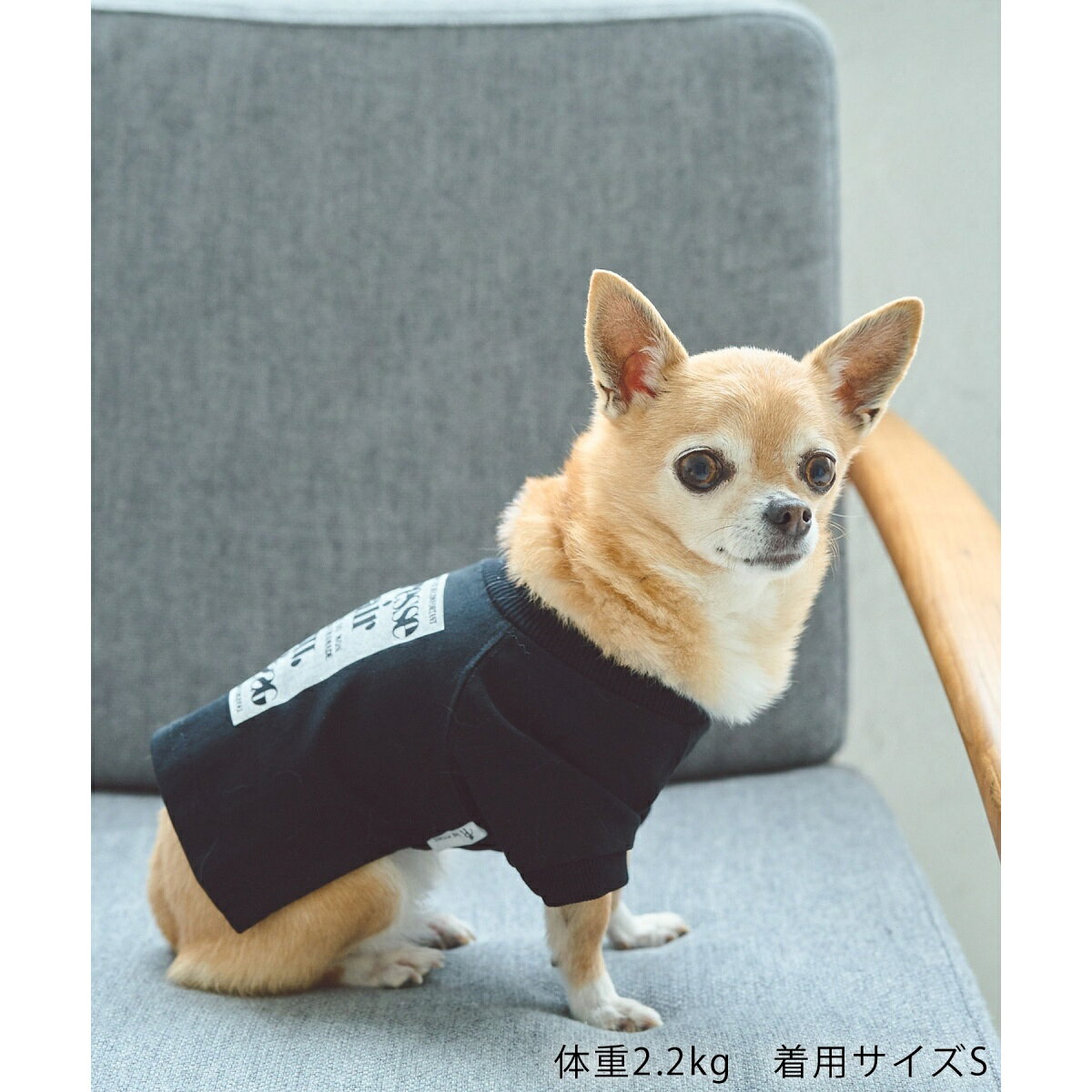 サンプル画像2