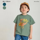 【体温で変わる】恐竜プリント半袖Tシャツ/ブランシェス(branshes)