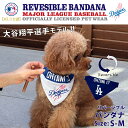 MLB公式 ロサンゼルス ドジャース 大谷翔平選手モデル バンダナ S-M/メジャーリーグベースボールトレードマーク(Major League Baseball Trademarks)