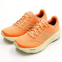 NEWBALANCE/ニューバランス/W880/Walking Fresh Foam 880 v6/ニューバランス(new balance)
