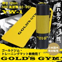 ゴールドジム・トレーニングマット YW-1/ゴールドジム(GOLD'S GYM)