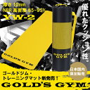 ゴールドジム・トレーニングマットYW-2/ゴールドジム(GOLD'S GYM)
