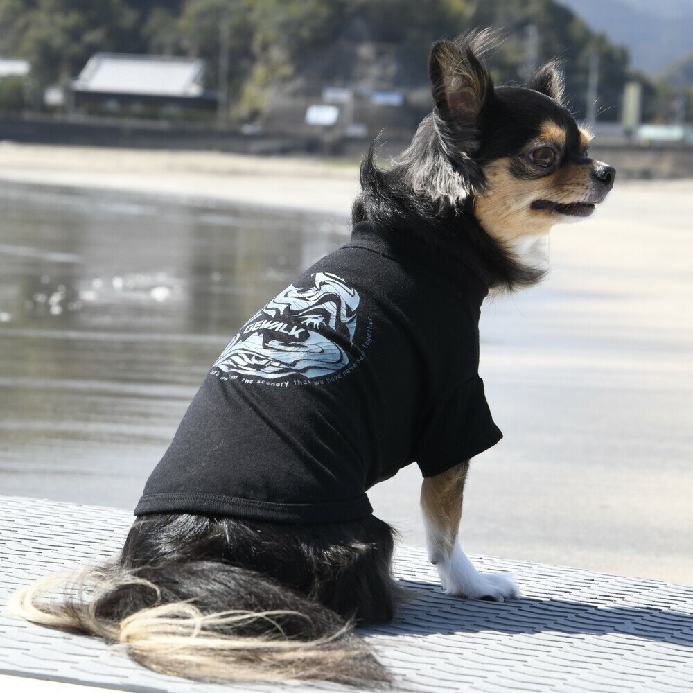 ݰʥޥ륤˳ŷԾŹ㤨530GWեåƥġ֡TġGEWALKˡפβǤʤ2,750ߤˤʤޤ