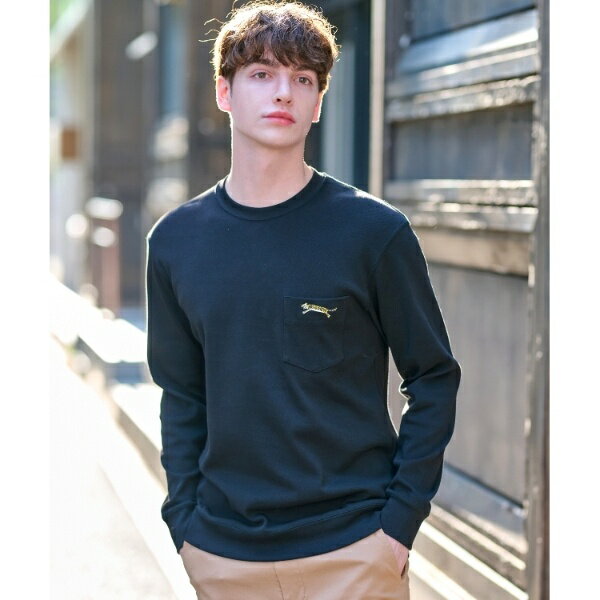 ハイカウント フライスロングTシャツ／ドレステリア（DRESSTERIOR）