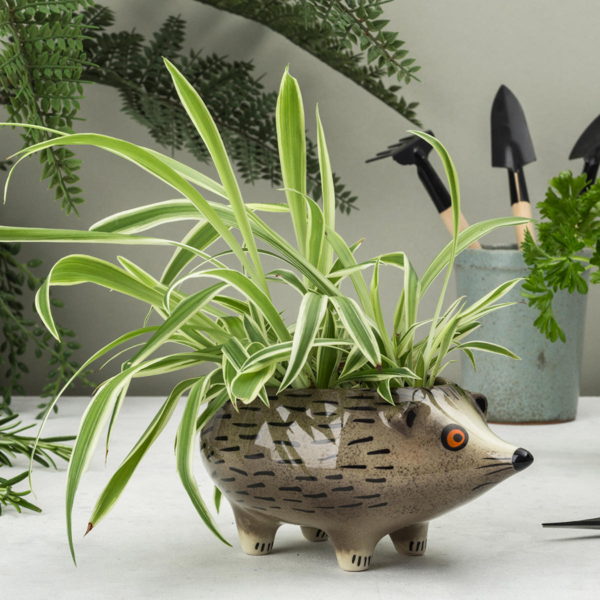 Hannah Turner プランター ハリネズミ �