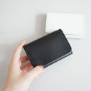 Ag+LEATHER BLACK&WHITE 抗菌CADE CASE/タイドウェイ(TIDEWAY)