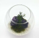 枯れない苔テラリウム 苔プリ 10cmアメジストホワイト/パレット(Palette)(4)
