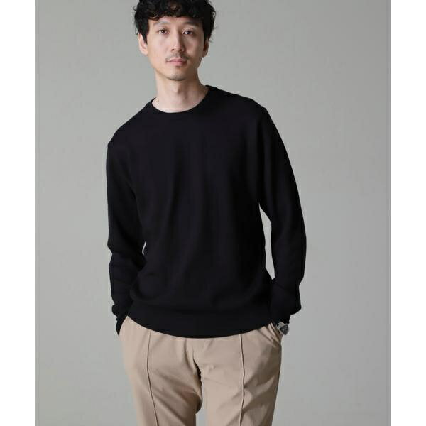 タスマニアミックスクルーネックニット/ナノユニバース(NANO universe)