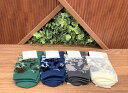 【LACOSTE】ソックス/ラコステ(LACOSTE)