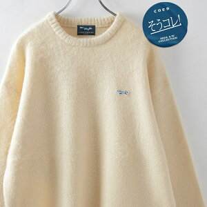 垢抜け ワンポイントニット/Penneys(ぺニーズ)別注シャギークルーネックニット/コーエン(coen)