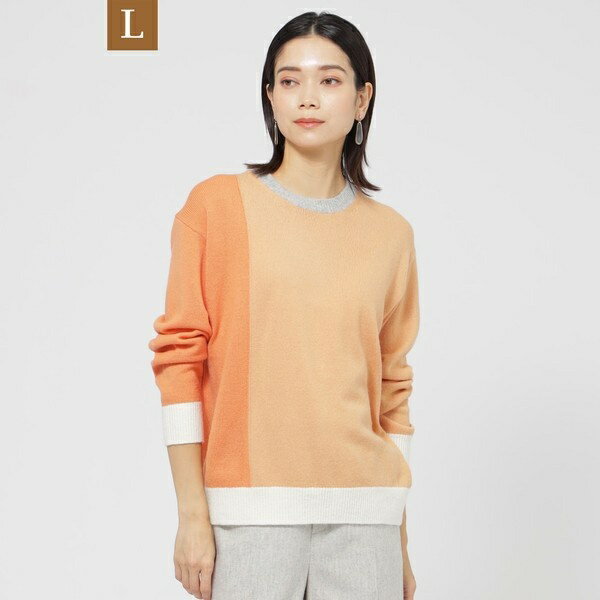 【L】【カタログ掲載品】【ウォッシャブル】ブロッキングウールプルオーバーショートニット／エヴェックス