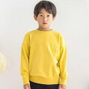 【店舗限定】エンボスポイント裏毛トレーナー(95~150cm)/ベベ プチ ポワ ヴェール(BeBe Petits Pois Vert)
