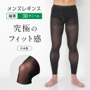 ナイガイ N-platz究極のフィット感が人気30デニール男性用レギンス 前開き/ナイガイ(NAIGAI)(4)