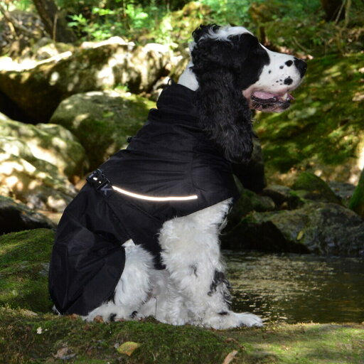 SHELL JACKET ECO/ジウォーク(GEWALK) SHELL JACKET ECO/ジウォーク(GEWALK)