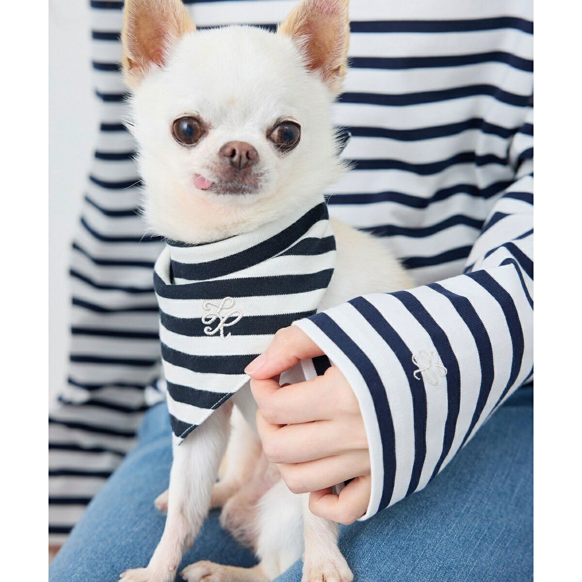 【DOG】バンダナ スカーフ／ロペピクニックパサージュ（ROPE' PICNIC PASSAGE） 0101marui-13094367 丸井(マルイ)楽天市場店 サンプル画像2