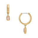 スカーゲン アクセサリー レディース ピアス ゴールド SKJ1864710/スカーゲン(SKAGEN)