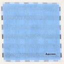 アクアスキュータム メンズ タオルハンカチ ヘムチェック 【Aquascutum】/アクアスキュータム(AQUASCUTUM)