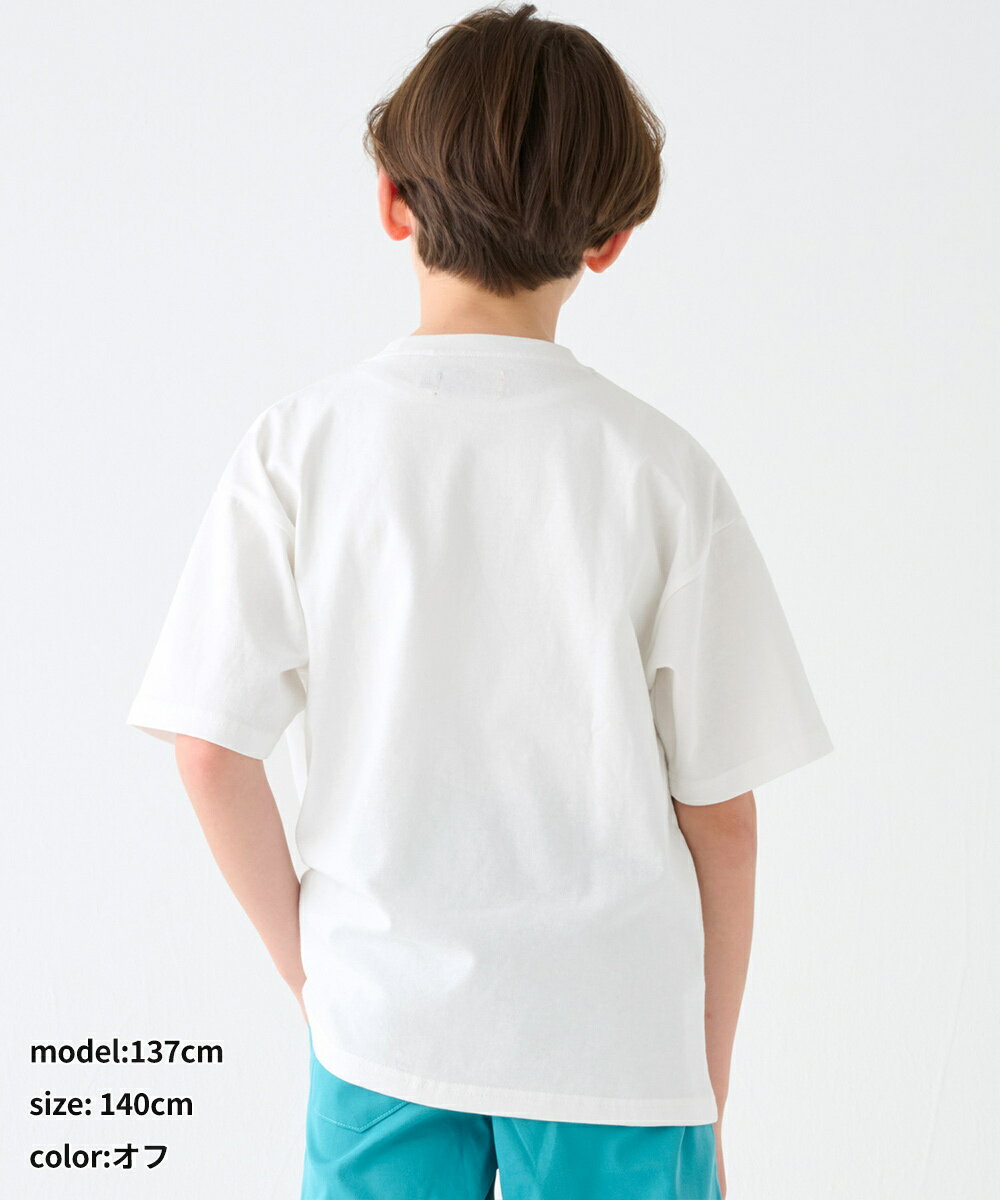 �ڵۼ���®������100�󡪡ۥ��˥ޥ� �ץ��� Ⱦµ T����� ����ʥ����� 120cm��170cm������եᥤ�䡼��KRIFF MAYER��