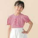 ベア天竺細ボーダーリボンプリントパフスリーブTシャツ(95~160cm)/ベベ プチ ポワ ヴェール(BeBe Petits Pois Vert)