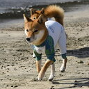 LGE544 プロテクト ロンパース ラッシュガード 中型犬/ジウォーク(GEWALK)