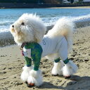 LGE544 プロテクト ロンパース ラッシュガード 中型犬/ジウォーク(GEWALK)
