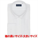 【透け防止】 ワイド 長袖 形態安定 ワイシャツ 大きいサイズ/ブリックハウス(BRICKHOUSE)