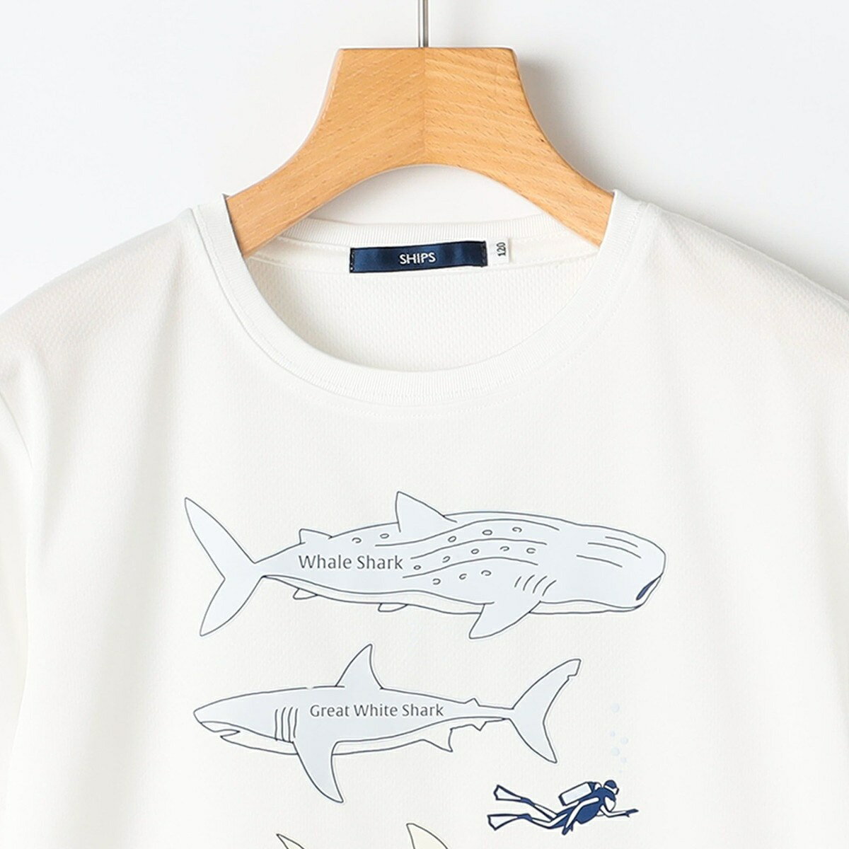 SHIPS KIDS:80c〜90m /〈接触冷感/吸水速乾〉シャーク フリーク TEE／シップス（SHIPS）