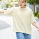 【接触冷感】五分袖Tシャツブラウス/コーエン(coen)