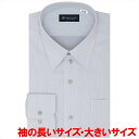 【お仕事応援】【透け防止】 レギュラー 長袖 形態安定 ワイシャツ 大きいサイズ/ブリックハウス(BRICKHOUSE)