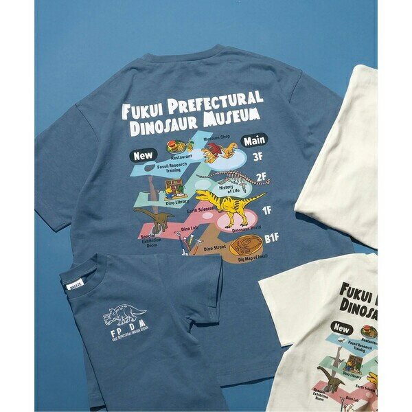 福井県立恐竜博物館コラボ MAPイラストTシャツ(大人)／ブリーズ（BREEZE）のサムネイル