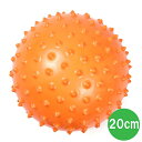 OHplus スパイキーピラティスボール 20cm/グッドラックフィールド(GOODLUCKFIELD)