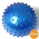 OHplus スパイキーピラティスボール 30cm/グッドラックフィールド(GOODLUCKFIELD)