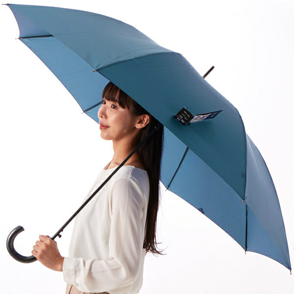 ARNOLDPALMER(アーノルドパーマー) 無地耐風雨傘(長傘)／アーノルドパーマー（Arnold Palmer）