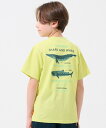 【接触冷感で涼しい!】涼タッチ シャリ Tシャツ 最大対決 120cm〜170cm/クリフメイヤー(KRIFF MAYER)