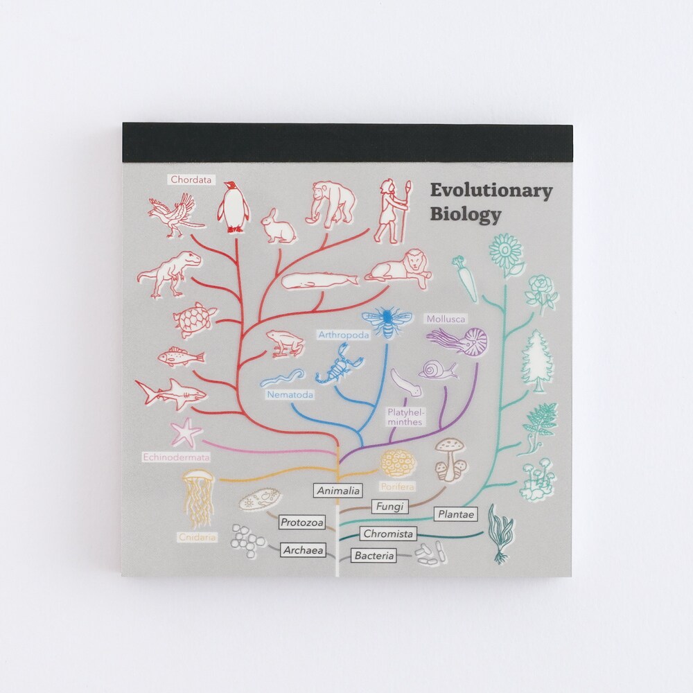 メモパッド・スクエア（進化生物学）／スタディホリック（STUDY HOLIC）