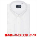 【超形態安定】 ボタンダウン 長袖 形態安定 ワイシャツ 大きいサイズ/ブリックハウス(BRICKHOUSE)