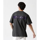 《WEB&DEPOT限定》SHEETING T-SHIRT ”S.F.W”/アヴィレックス(AVIREX)