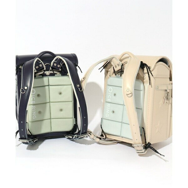 ICE CARRY(S)／アンパサンド（Ampersand）