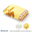 ポケットモンスター ポケモンのきもち フェイスタオル/タオル美術館(Towelmuseum)