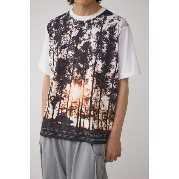 リアルランドスケープTシャツ／アズールバイマウジー（AZUL BY MOUSSY）