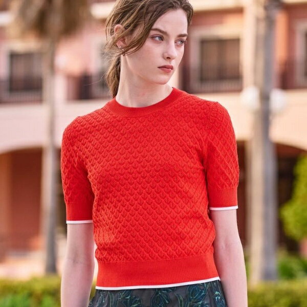 【6色展開オンオフ】レース編みハーフスリーブニット／ドレステリア（DRESSTERIOR）のサムネイル