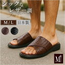 Mプラスhome クロワゼ/バックヤードファミリー(BACKYARD FAMILY)