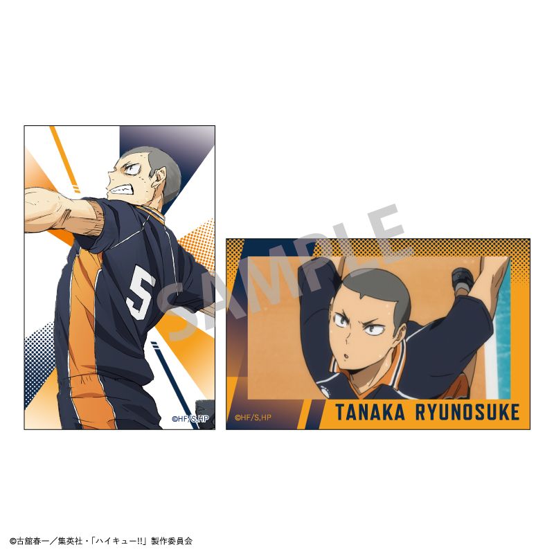 ハイキュー!!_Tinymide/田中 龍之介／colleize（colleize）(3.0)