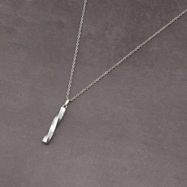 アソートチェーンネックレス／ザ ショップ ティーケー（THE SHOP TK）