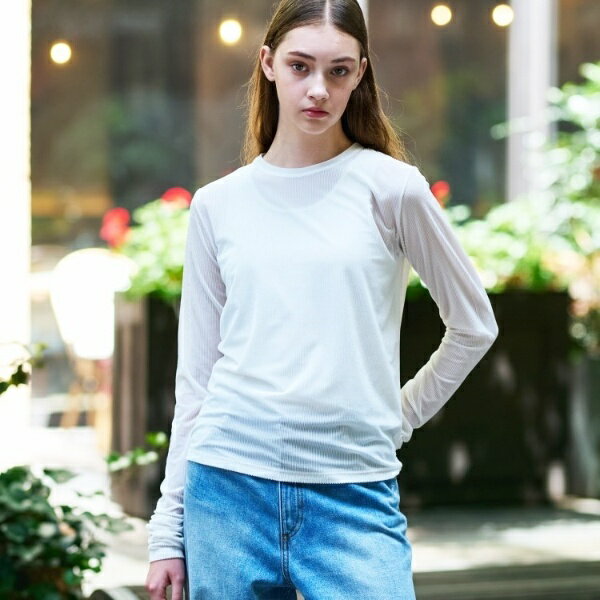 【洗えるリブベロア】シアーリブベロアカットソー／ドレステリア（DRESSTERIOR）