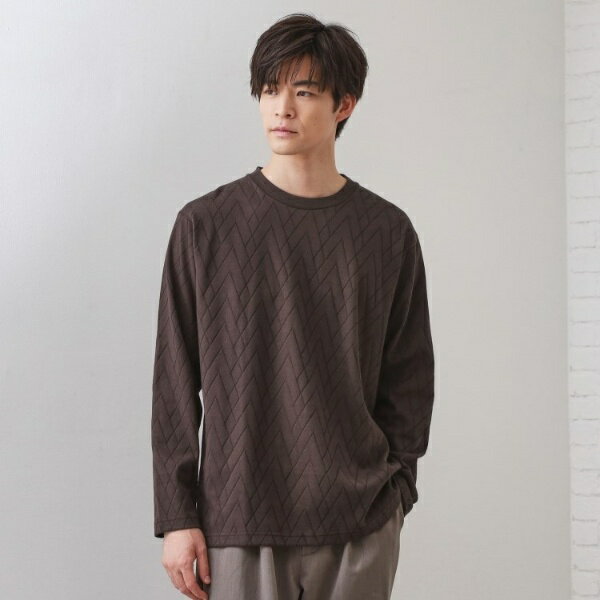 リンクスジオメトリック長袖Tシャツ【サスティナブル素材使用洗濯機OK】／ザ ショップ ティーケー（THE SHOP TK）