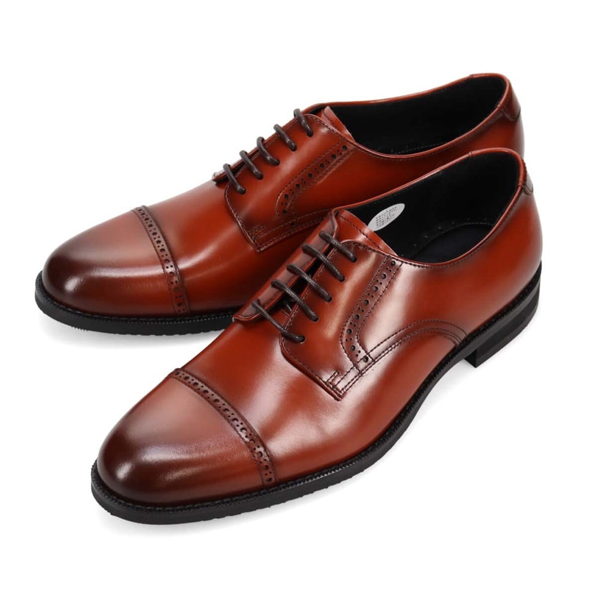 モデロ MODELLO 外羽根ストレートチップ／マドラス モデロ（madras MODELLO）